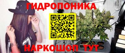 прущая мука Будённовск