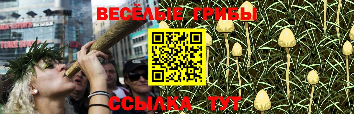 Раменское  наркотики  Вход с VPN  Галлюциногенные грибы ЛСД 
